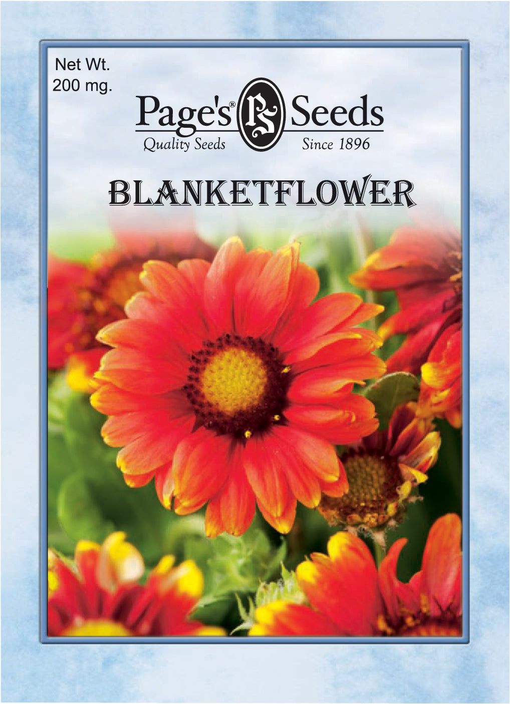 Blanketflower Seeds - 1 Packet