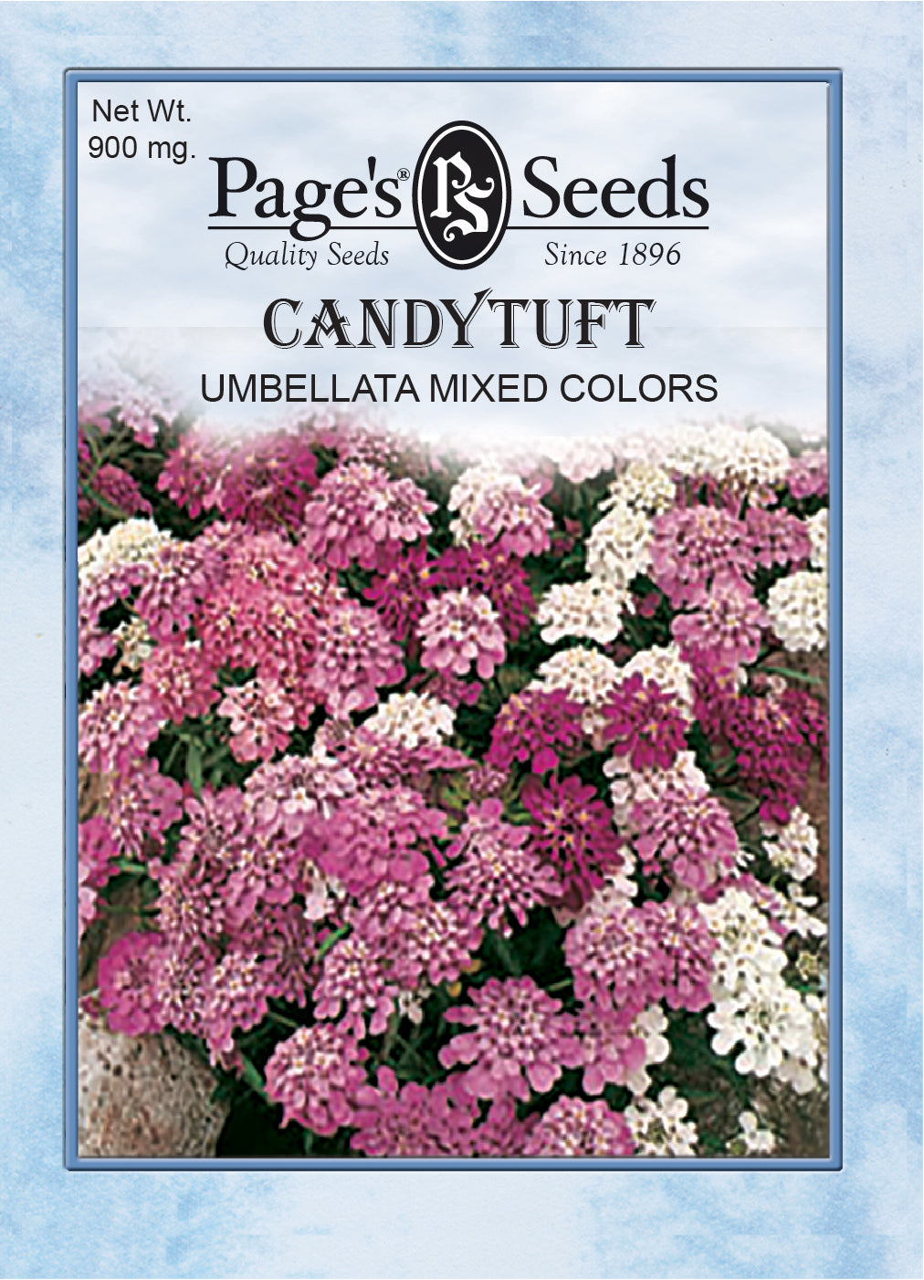 Candytuft, Umbellata Mixed Colors Seeds - 1 Packet