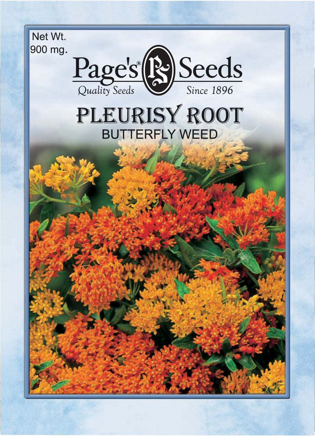 Pleurisy Root Butterfly Weed Seeds - 1 Packet