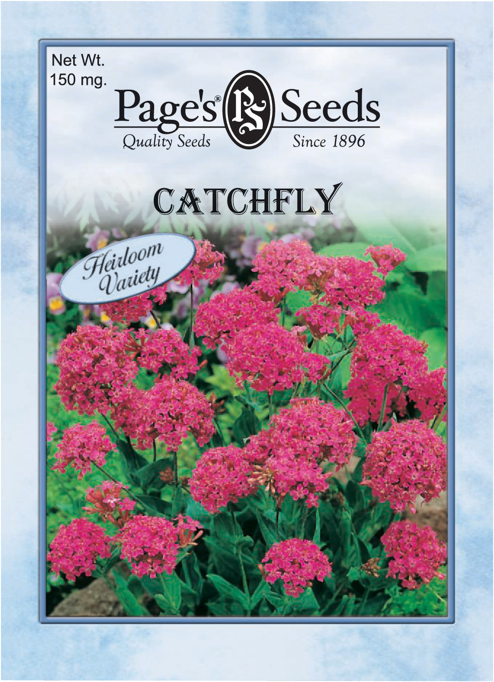 catchfly flower seeds Catchfly Seeds - 1 Packet
