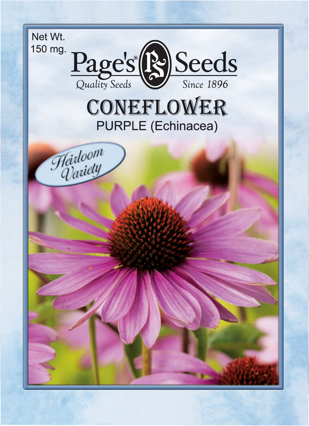 Purple Coneflower Seeds - 1 Packet