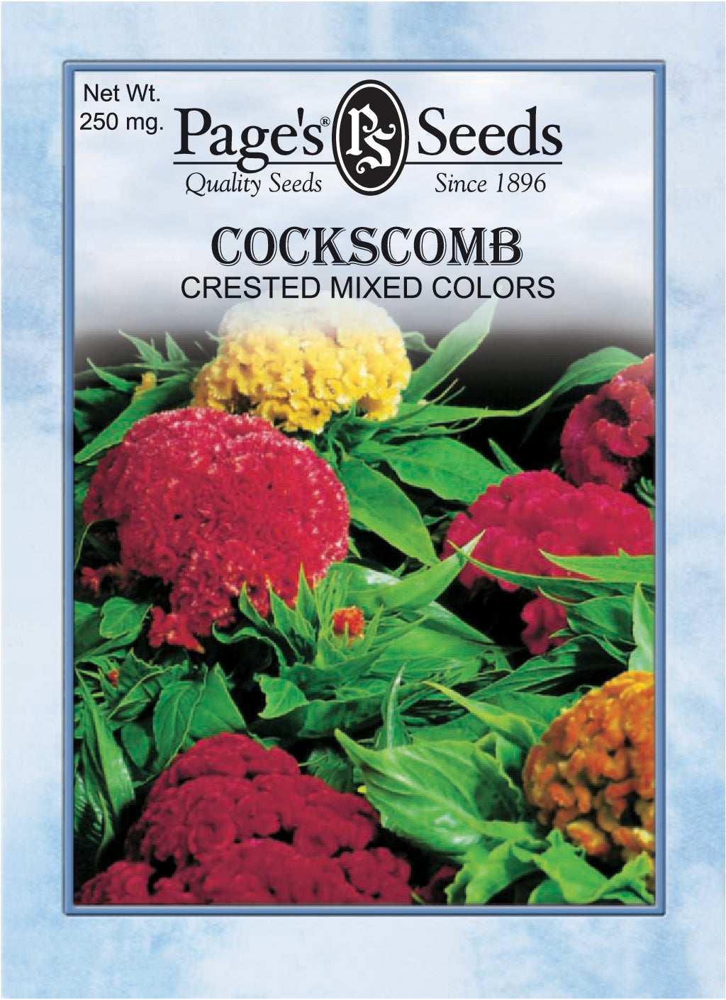 Cockscomb, Crested Mix Seeds - 1 Packet
