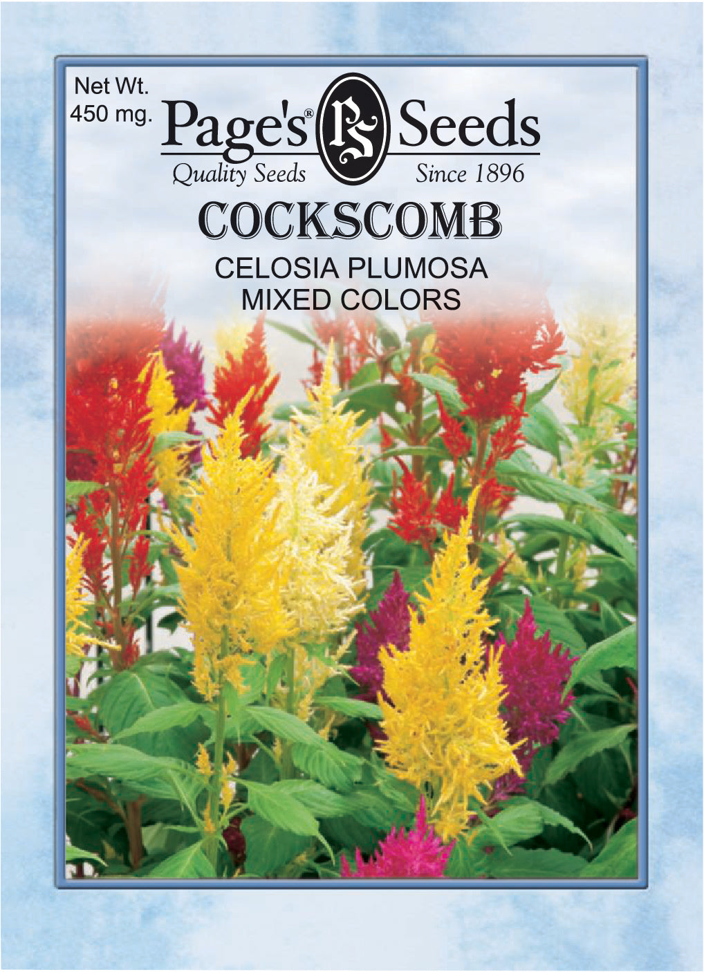 Cockscomb, Plumosa Mix Seeds - 1 Packet