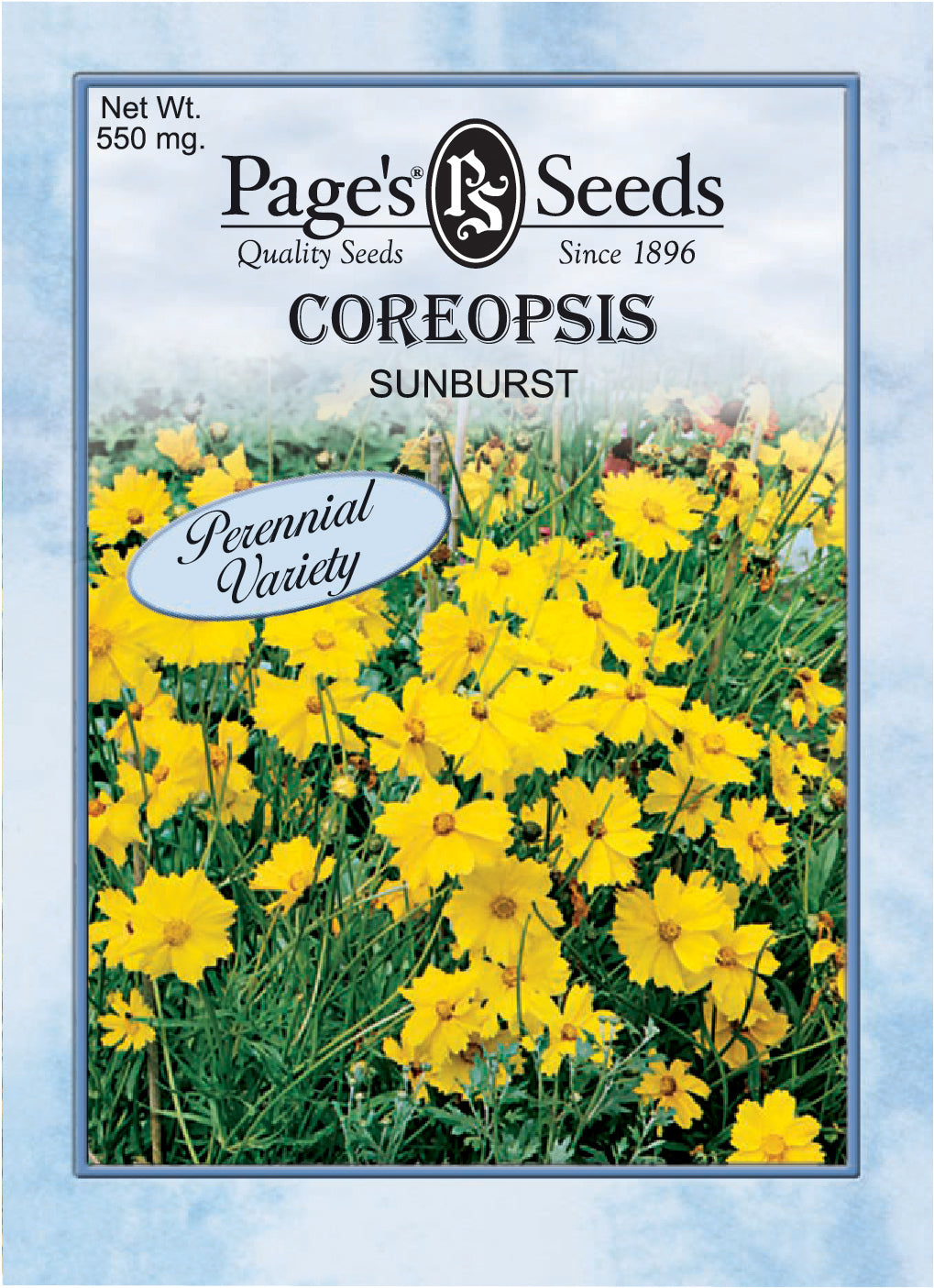 Coreopsis Sunburst Seed - 1 Packet