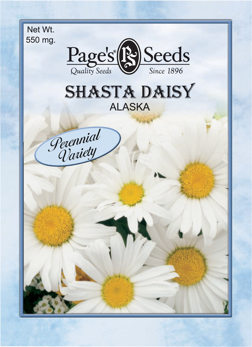 Shasta Alaska Daisy Seeds - 1 Packet