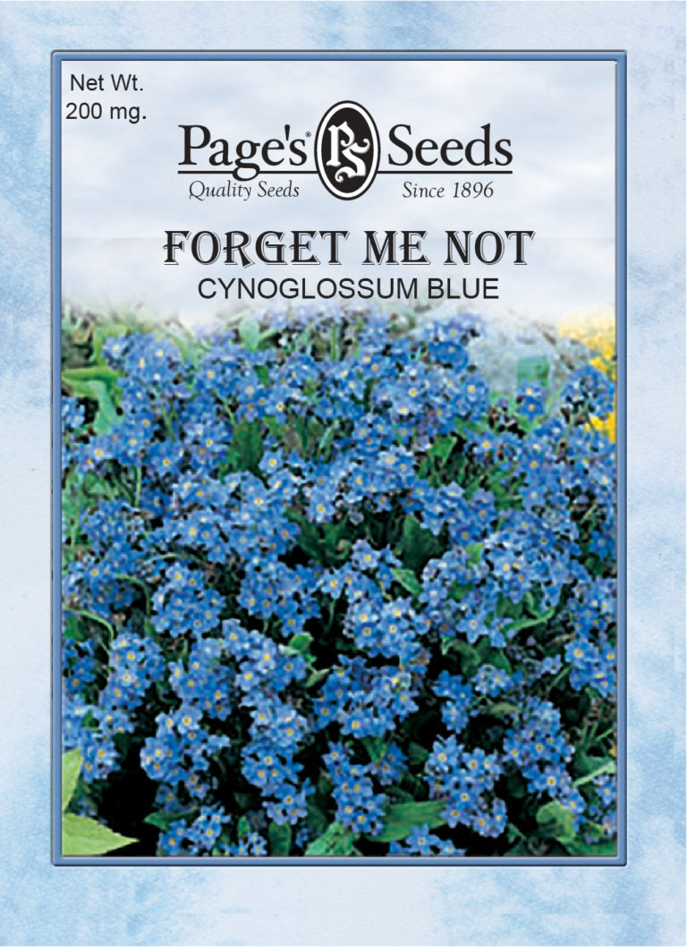 Forget Me Not - Blue - 1 Packet