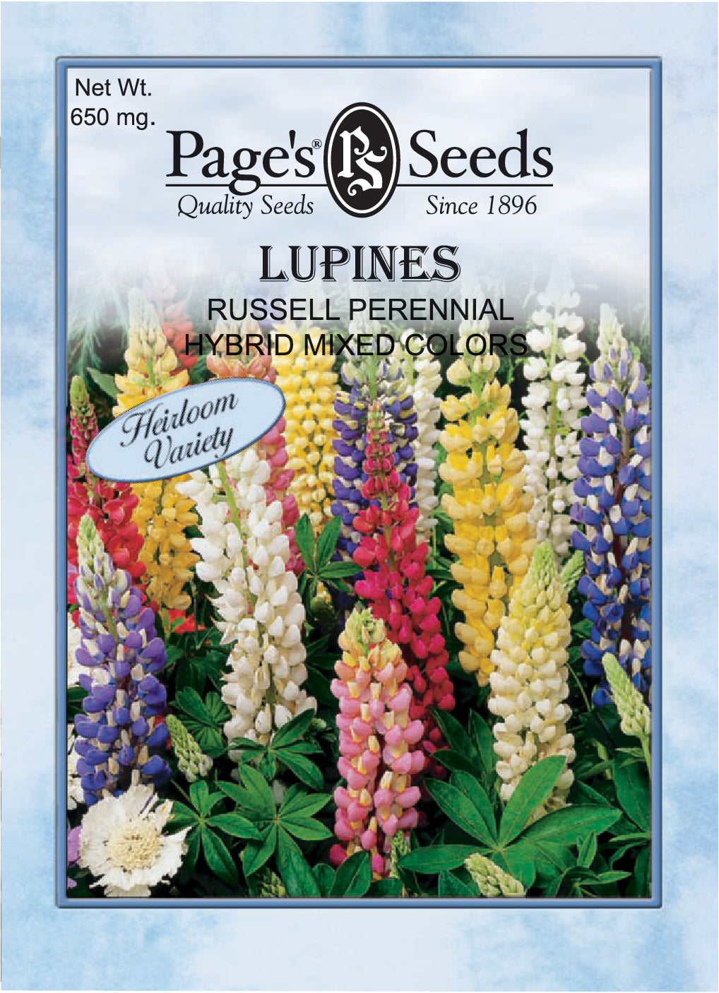 Lupines Russell Perennial Hybrid Mixed Colors Seed Heirloom - 1 Packet