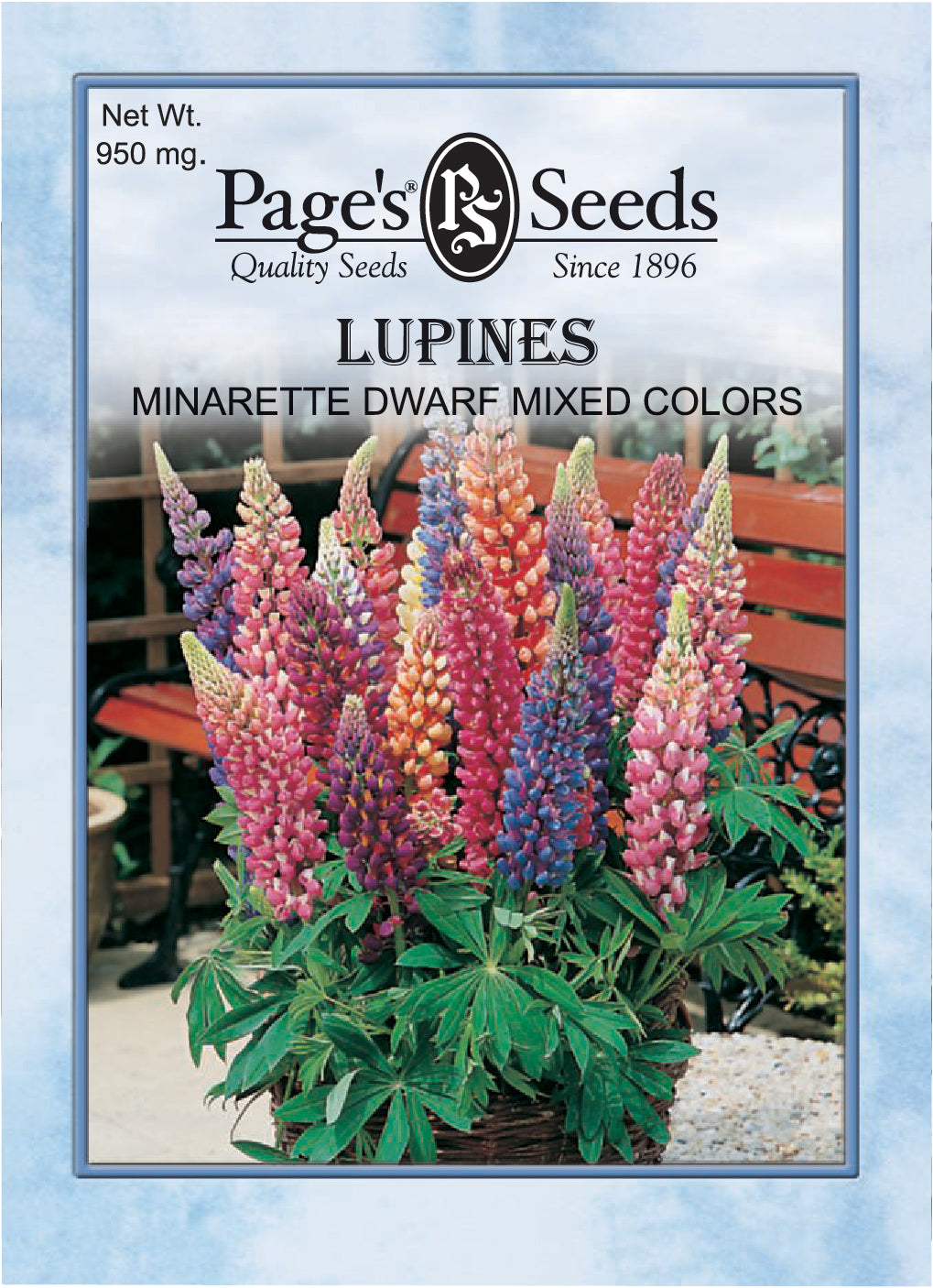 Lupines Minarette Dwarf Mixed Colors Seed - 1 Packet