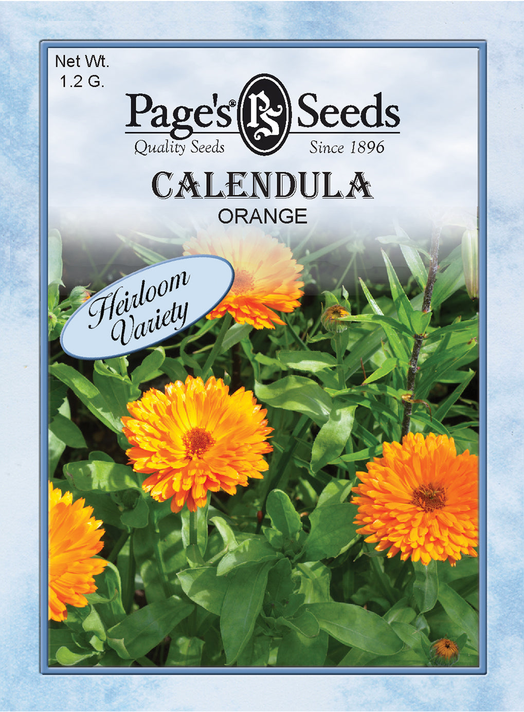 Calendula, Orange Seeds - 1 Packet