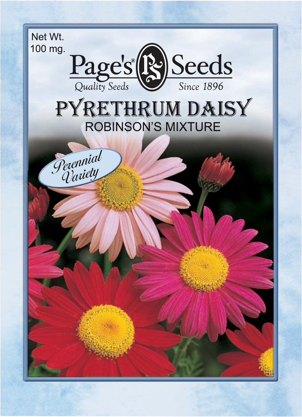 Pyrethrum Daisy Robinson’s Mixture Seeds - 1 Packet