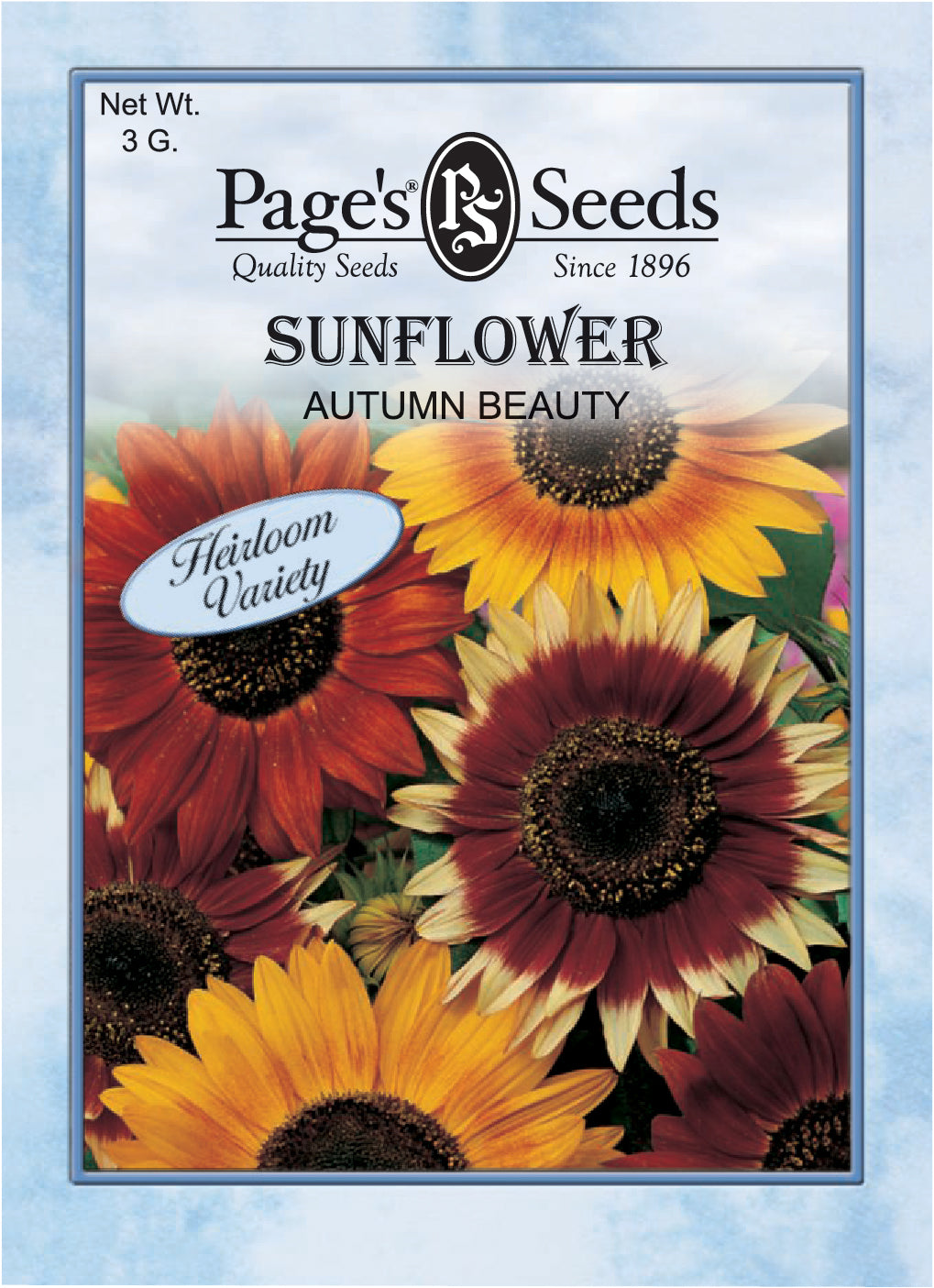 Sunflower Autumn Beauty Seed - 1 Packet