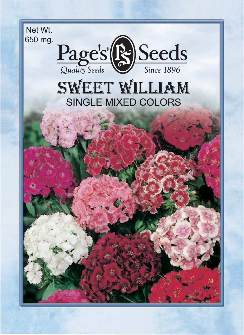 Sweet William Single Mixed Colors Seed - 1 Packet