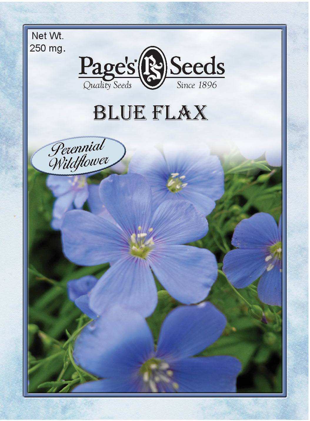 Blue Flax Seeds - 1 Packet