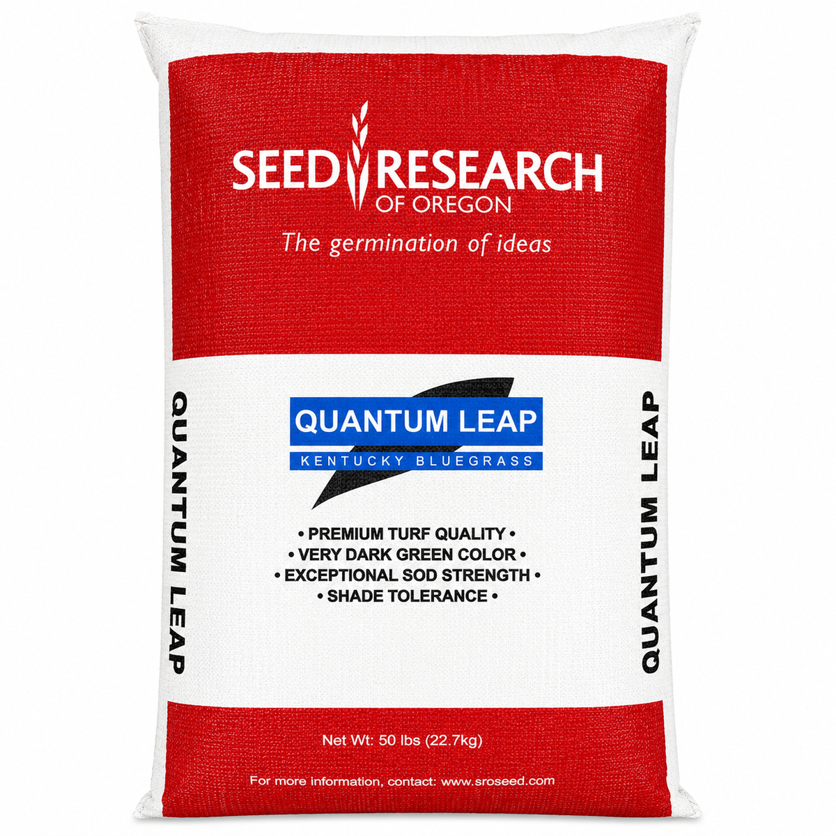 Quantum Leap (Midnight-type) Kentucky Bluegrass Seed (Certified)