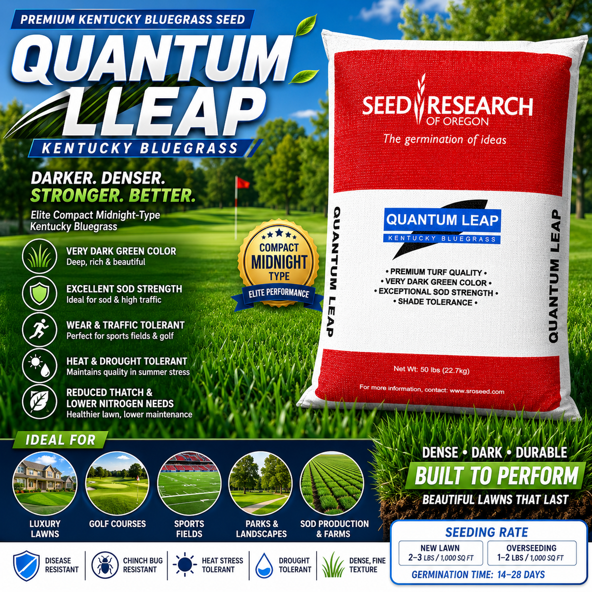 Quantum Leap (Midnight-type) Kentucky Bluegrass Seed (Certified)