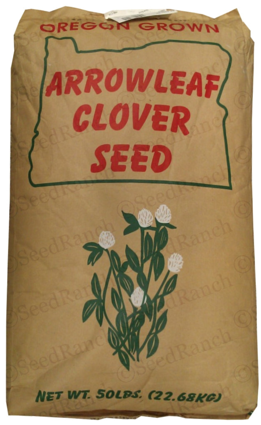 clover plant seeds Yuchi Arrowleaf Clover Seed