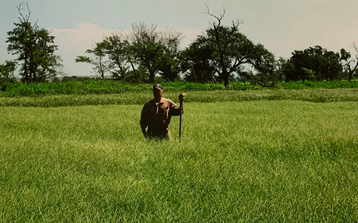 (PRE-ORDER Ships March) Dal's Big River Crabgrass Seed