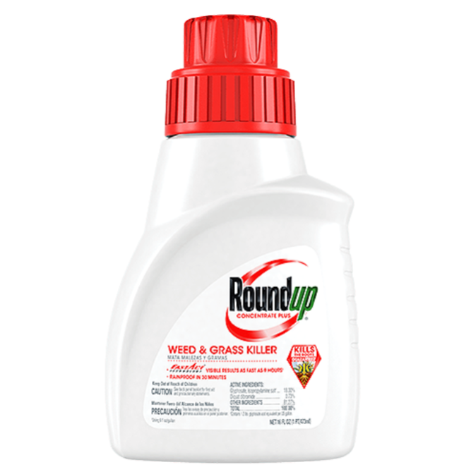 Roundup Weed and Grass Killer Concentrate Plus