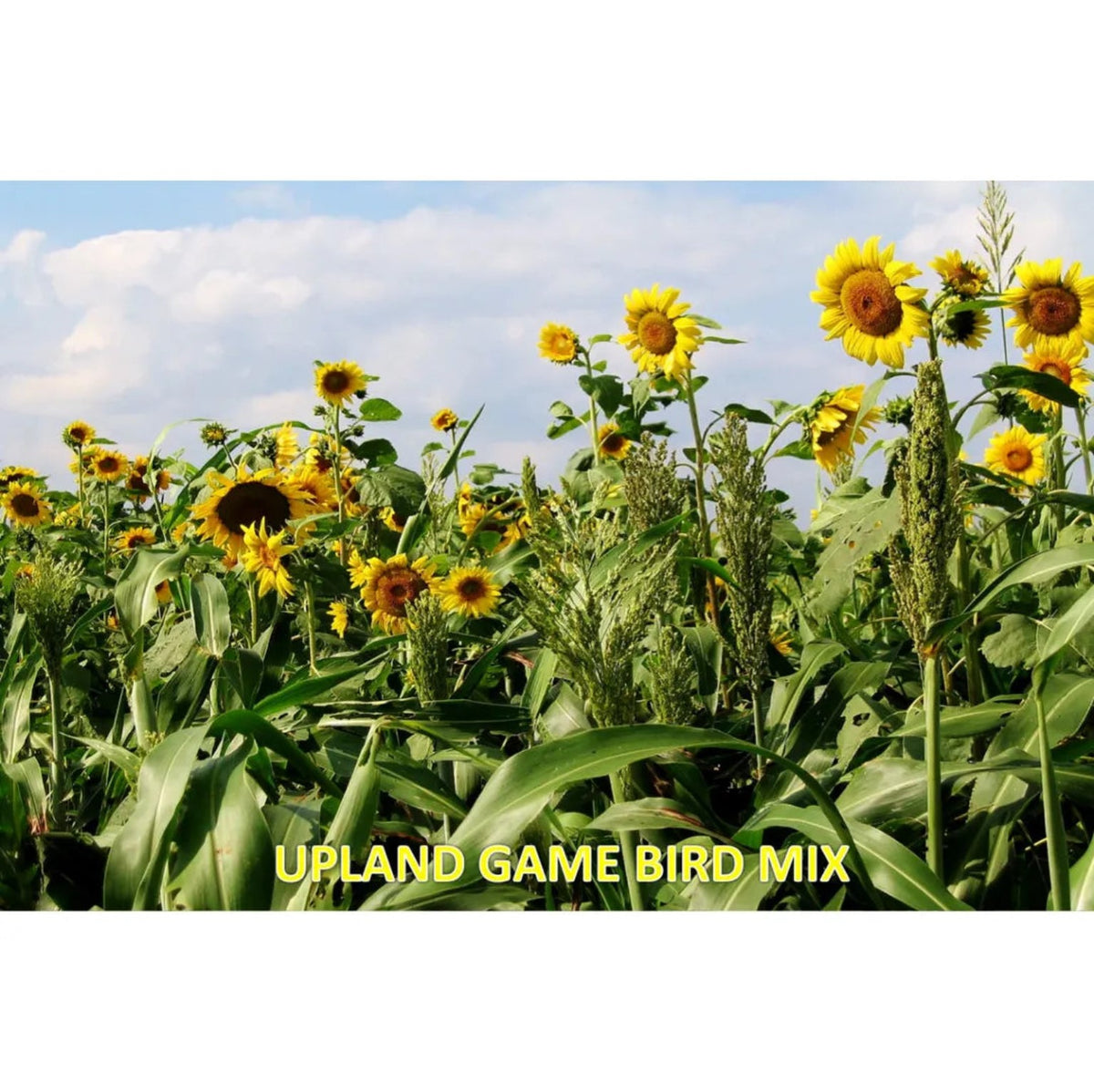 Tecomate Upland Game Bird Mix Seed - 20 Lbs.