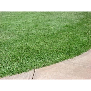 lowes kentucky 31 grass seed Kentucky 31 Tall Fescue Grass Seed - 50 Lbs