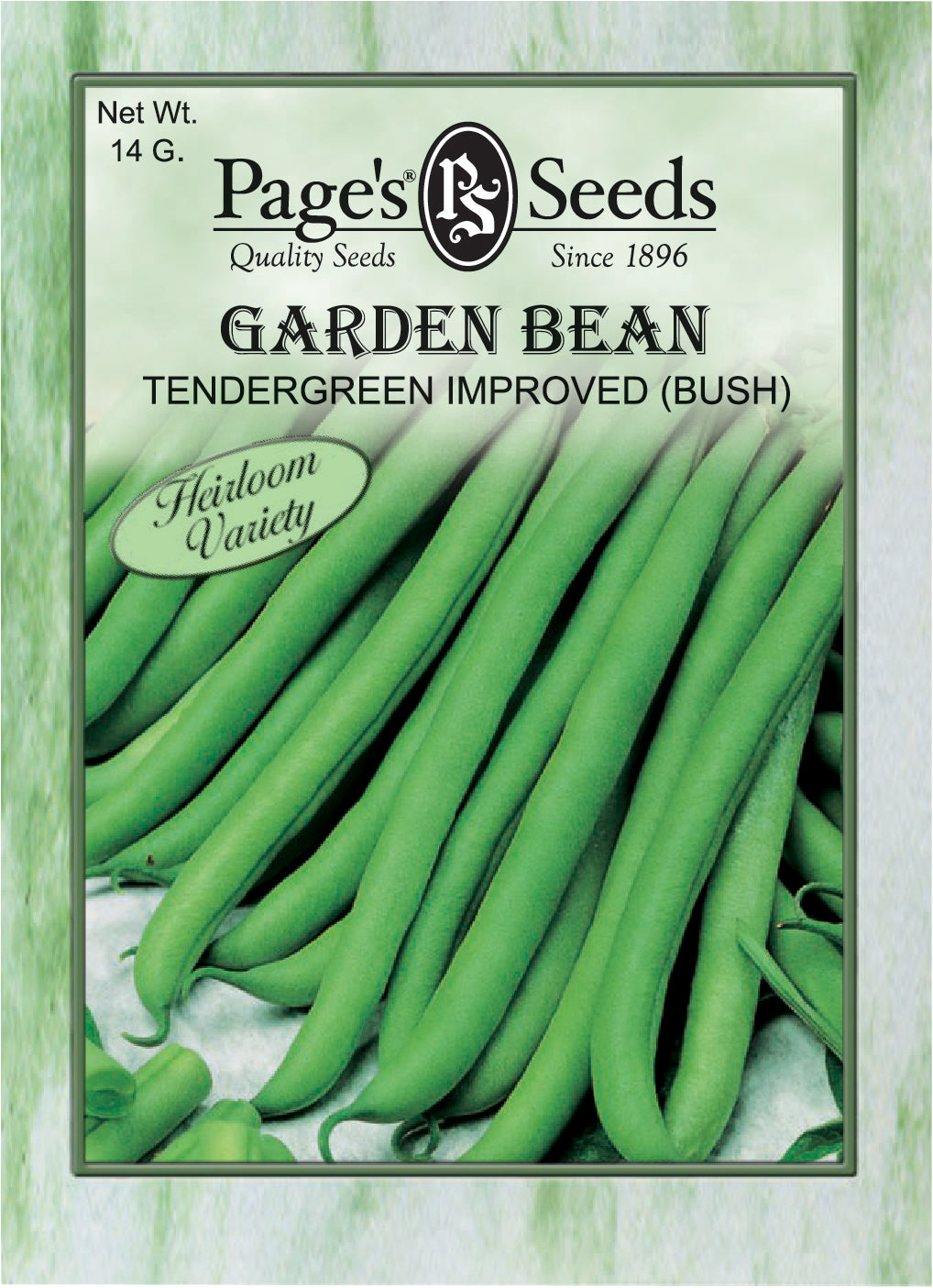 Garden Bean Tendergreen Improved Seed Heirloom - 1 Packet