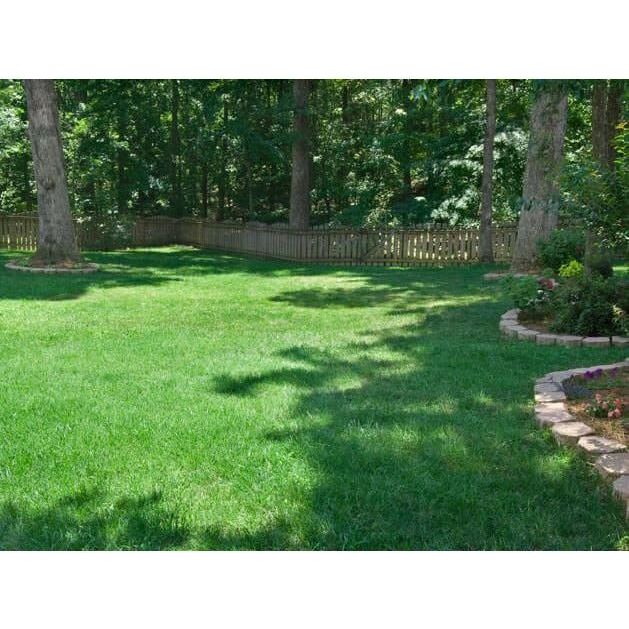 Titan RX Tall Fescue Grass Seed (Certified)