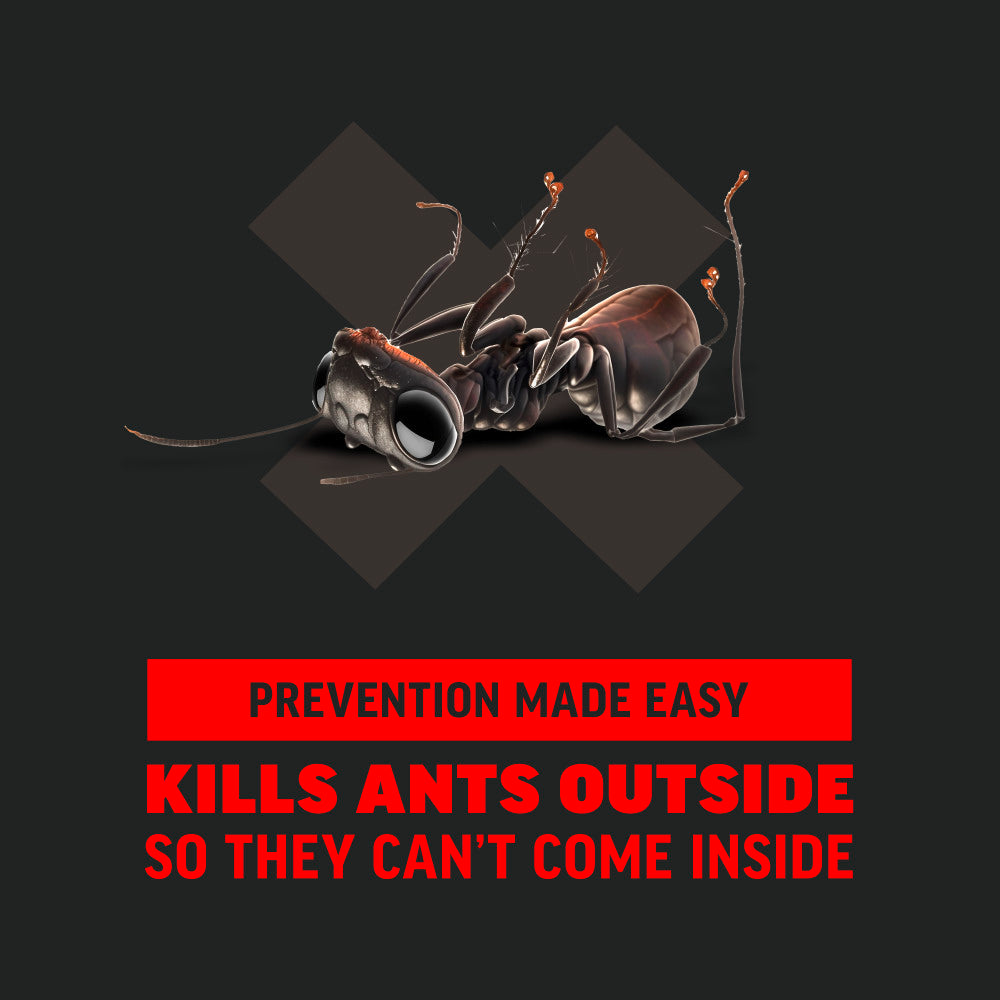 Amdro Ant Block Home Perimeter Ant Bait (granules) - 24 oz