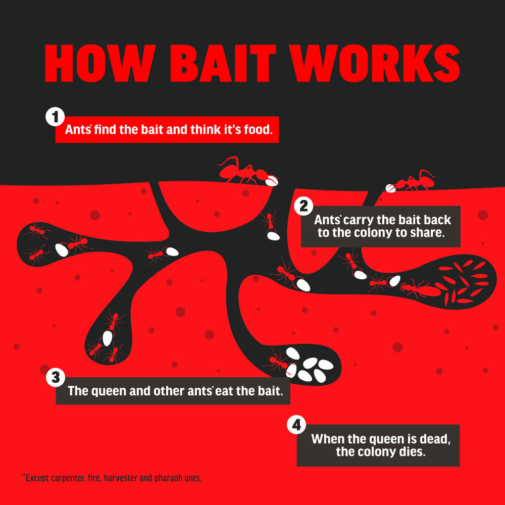 AMDRO Indoor/Outdoor Ant Killer Bait Stakes - 8 Stakes