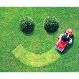 Carpetgrass Seed (Coated)