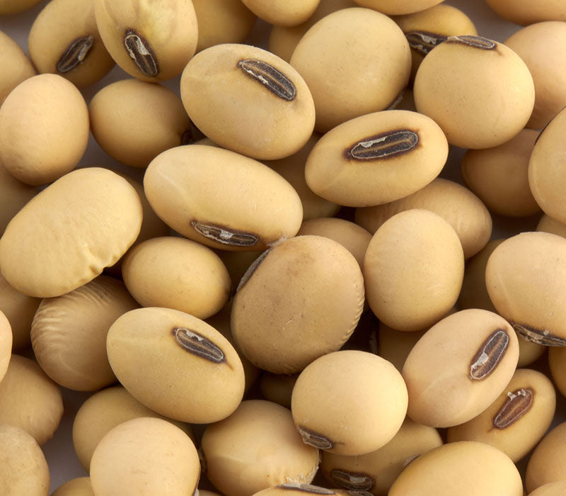 Paul RR Soybeans