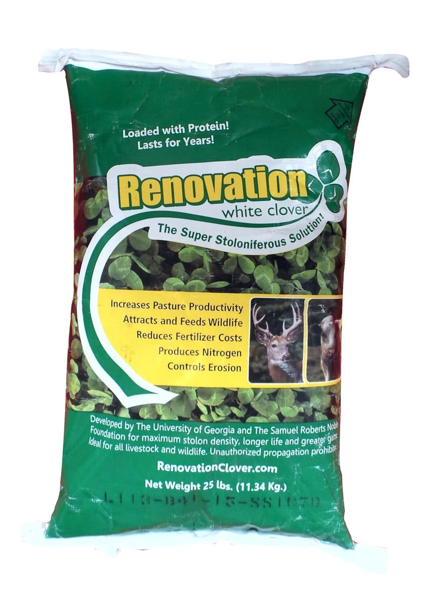 Renovation White Clover Seed