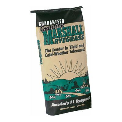 Marshall Pasture Forage Type Ryegrass Seed