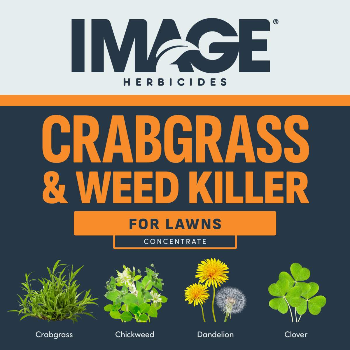 Image Crabgrass & Weed Killer - 32 Ounces