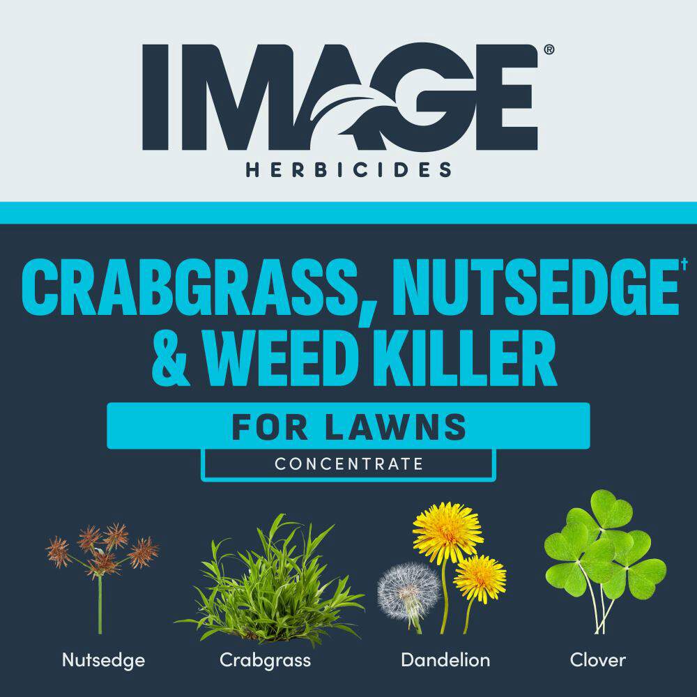 image nutsedge concentrate 24oz herbicide Image 24 oz. Concentrate Nutsedge & Weed Killer