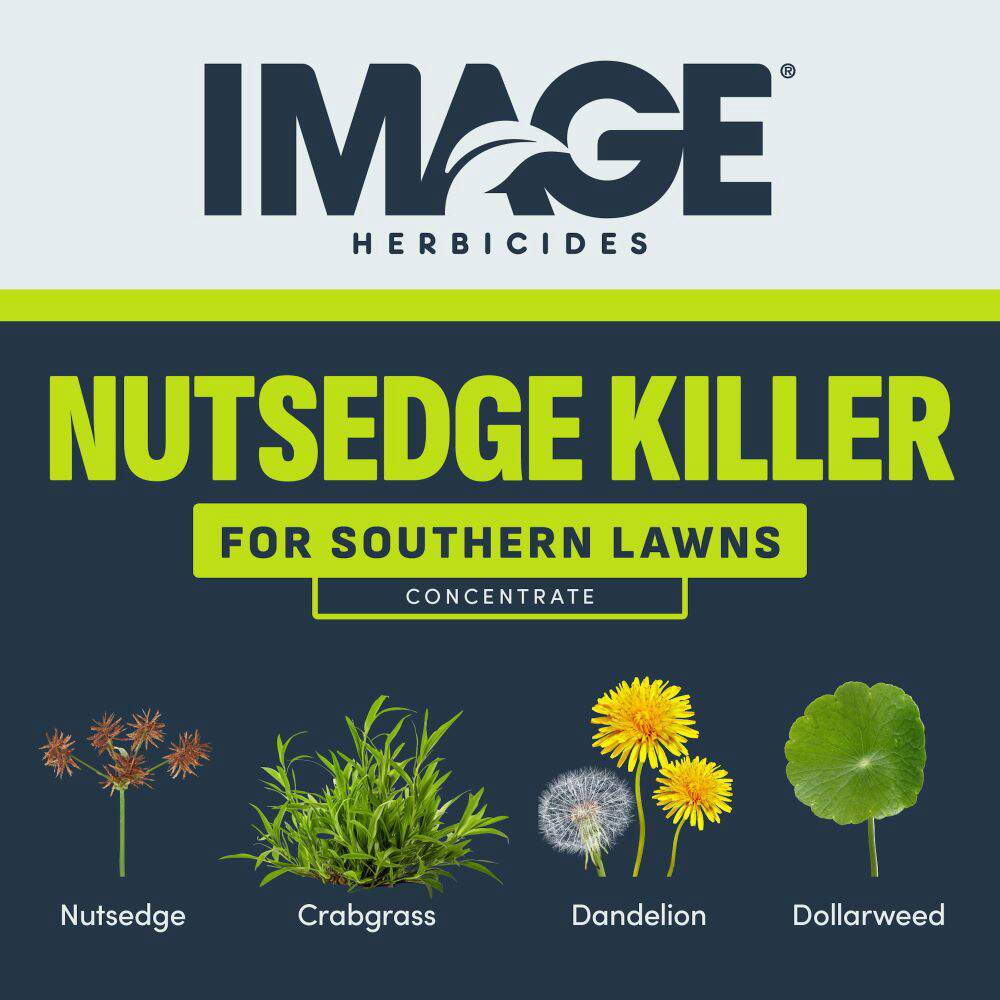 Image Nutsedge Herbicide Ready-To-Spray "Weed Killer" - 32 oz.