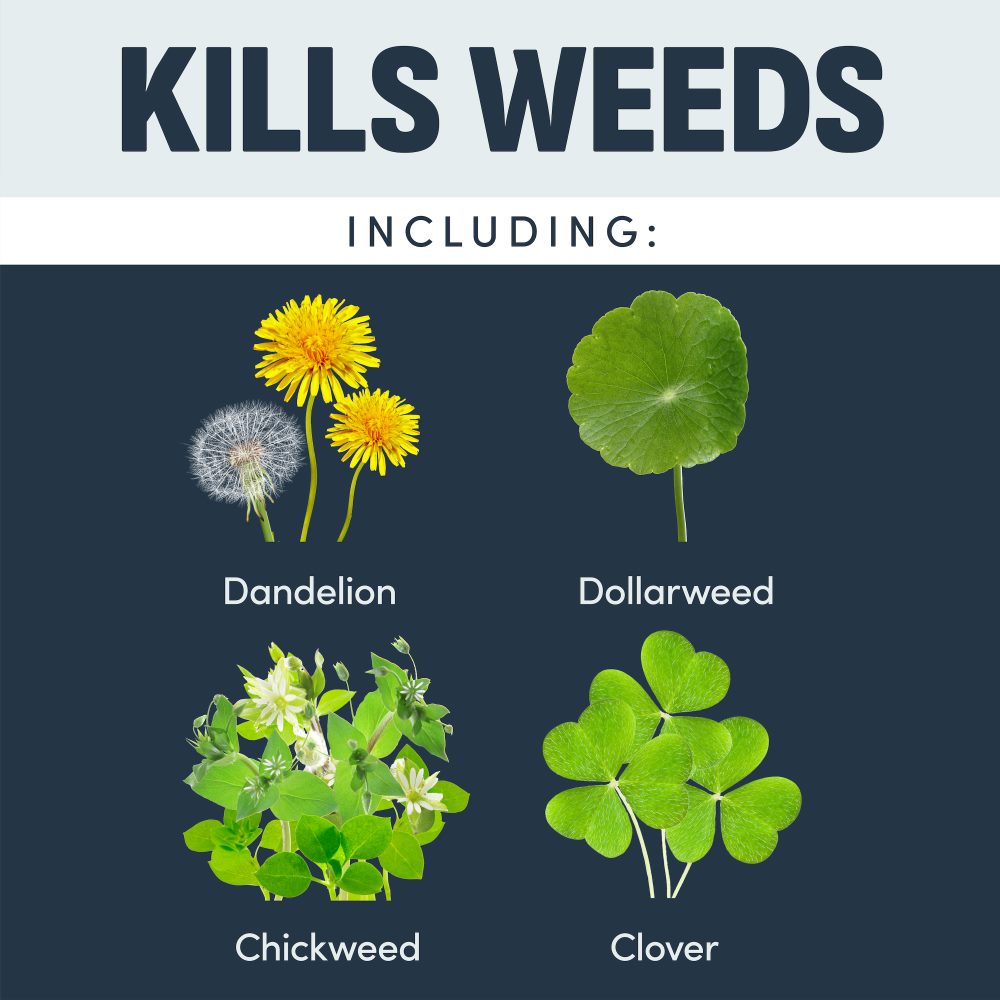 Image® Herbicides Weed Killer Foaming Spray for Lawns - 15 Ounces