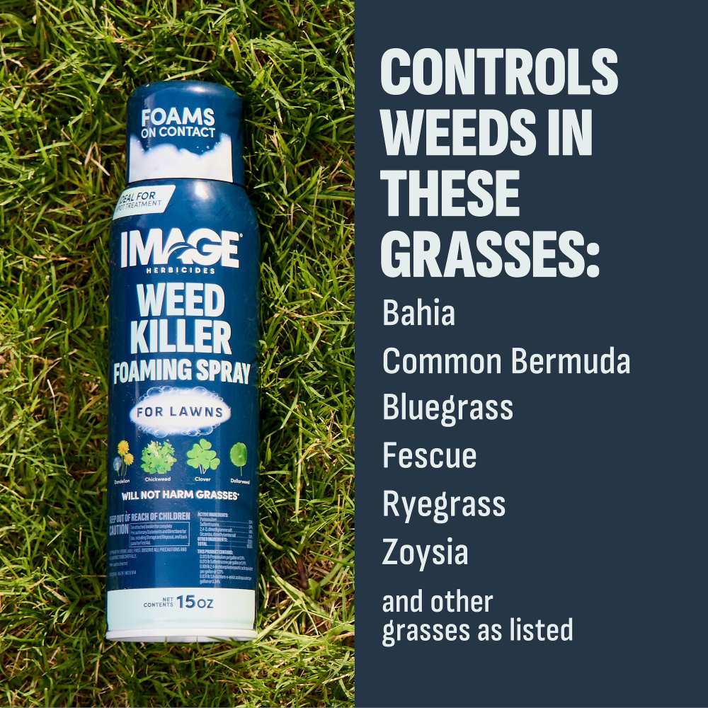 Image® Herbicides Weed Killer Foaming Spray for Lawns - 15 Ounces
