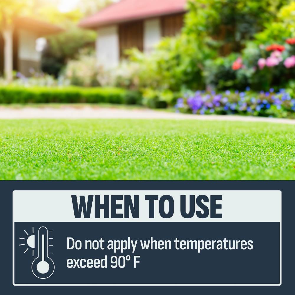 Image® Herbicides Weed Killer Foaming Spray for Lawns - 15 Ounces