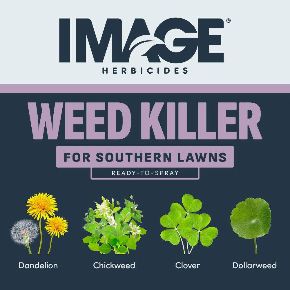 Image Herbicides Weed Killer for Southern Lawns Ready-to-Spray - 32 Ounces