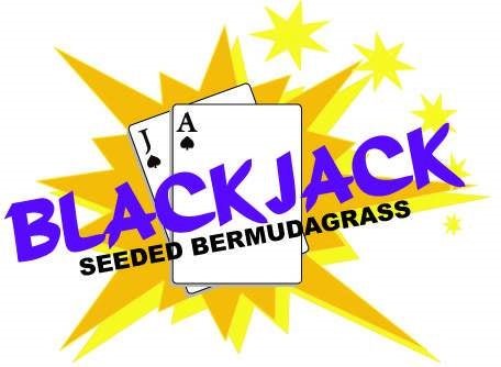 (Backorder Till Feb 2026) Blackjack Bermuda Grass Seed