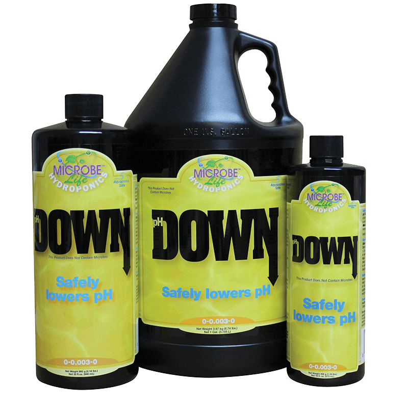 pH Down - 1 Quart