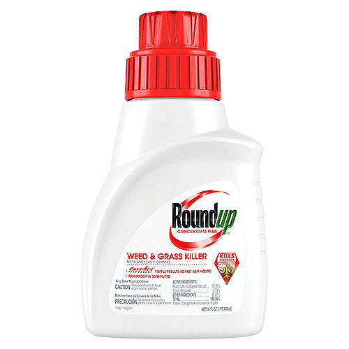 Roundup Weed and Grass Killer Concentrate Plus - 16 Oz.