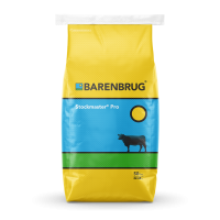 Mojo Crabgrass Seed For Pasture