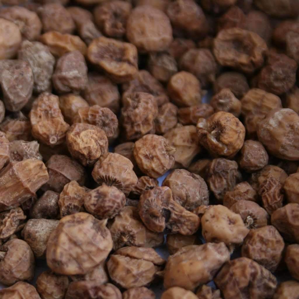 Chufa Seed