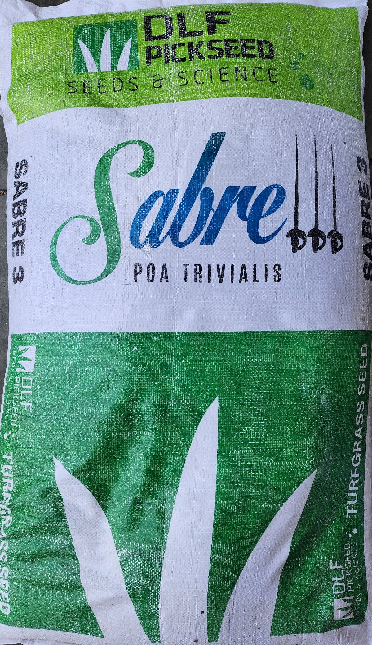 Sabre POA Trivialis Certified Treated Seeds