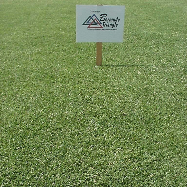 Triangle Bermuda Grass Seed - 1 Lb.