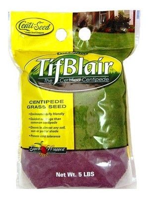 Tifblair Centipede Grass Seed Certified - 5 Lbs.