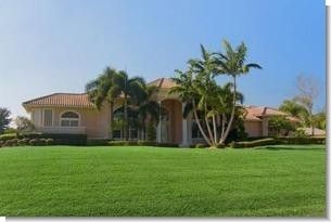 SeedRanch Argentine Bahia Lawn Grass Seed - 50 Lbs.