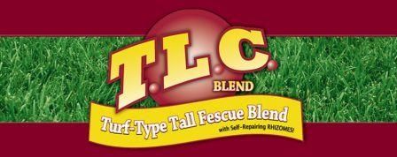 TLC Turf Type Tall Fescue Grass Seed Blend - 1 Lb
