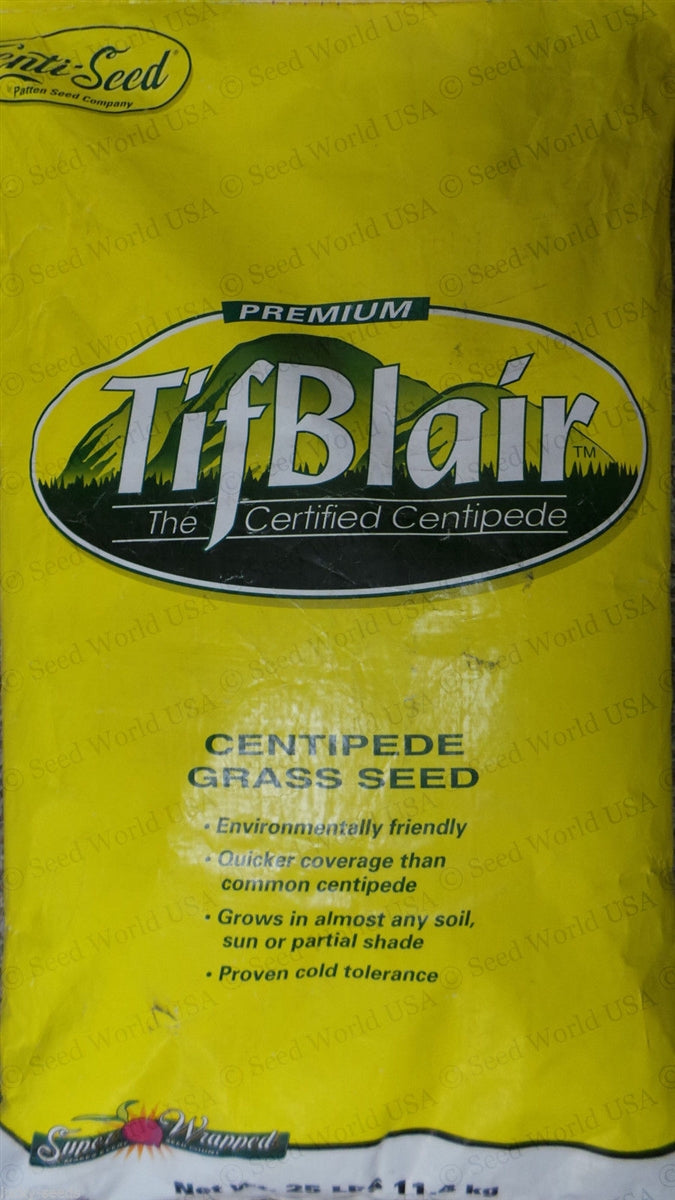 plant centipede grass seed Tifblair Centipede Seed